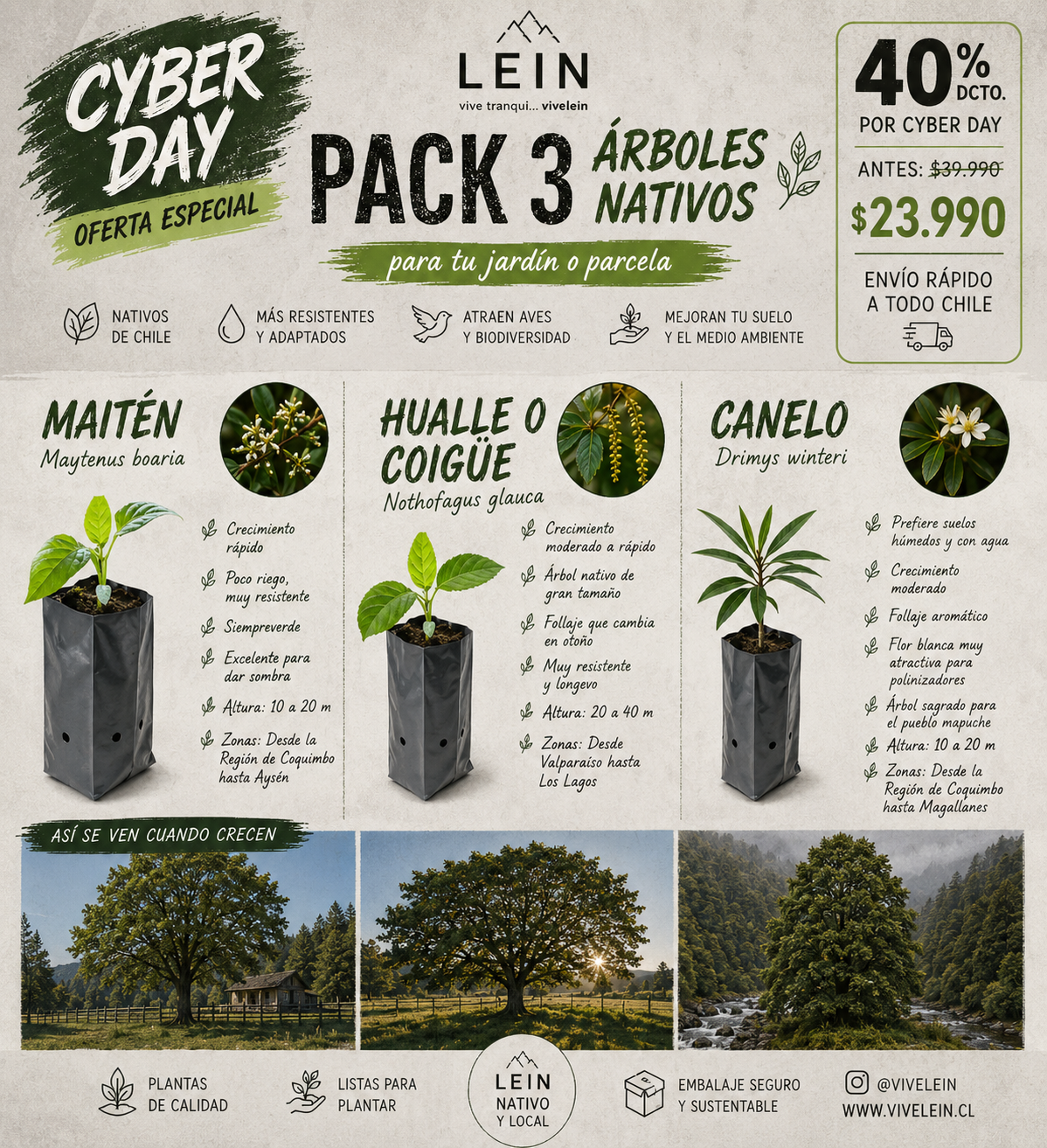 Pack arboles nativos